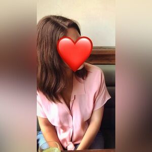 Aritzia Pink Wilfred Short-Sleeve Button Down